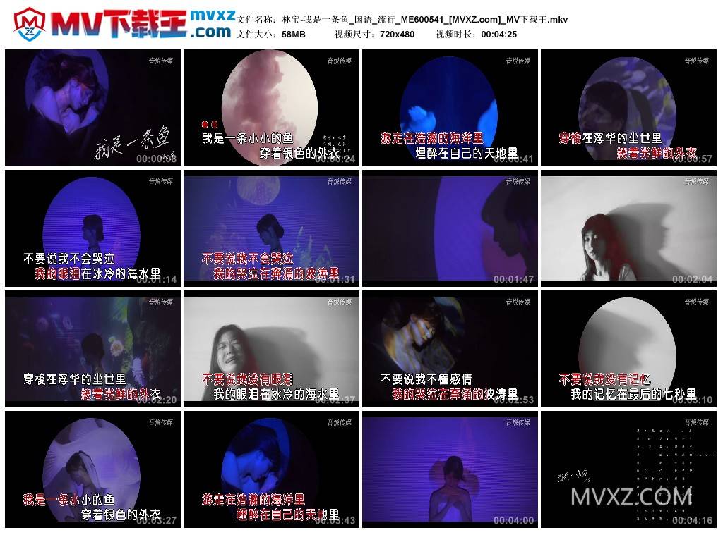 林宝-我是一条鱼_国语_流行_ME600541
